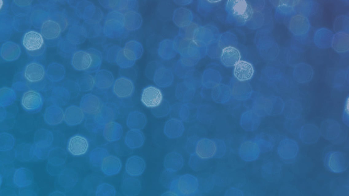 Preview image for FOXCHT5L