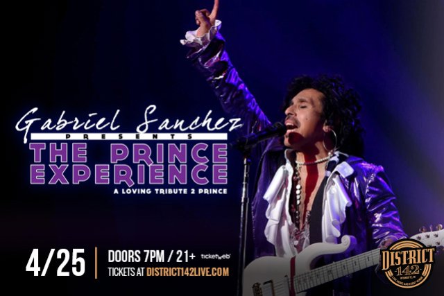 Preview image for Prince Tribute