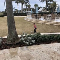 Cover for Atlantic Beach Country Club