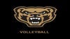 Preview image for Oakland University Golden Grizzlies Volleyball vs. Wright State University Volleyball