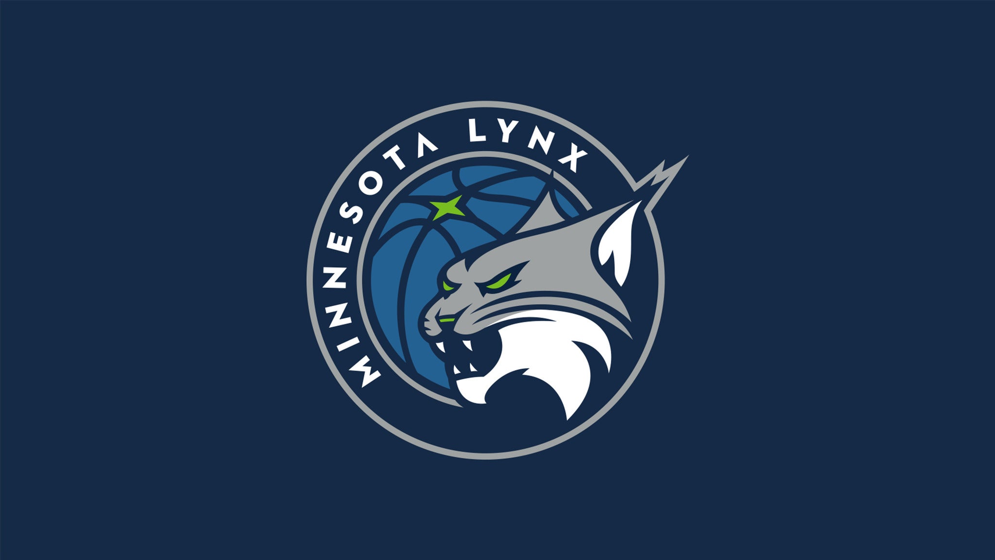 Preview image for Minnesota Lynx vs. Indiana Fever