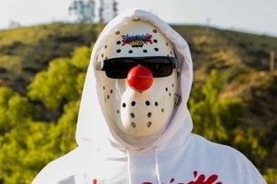Preview image for Foos Gone Wild