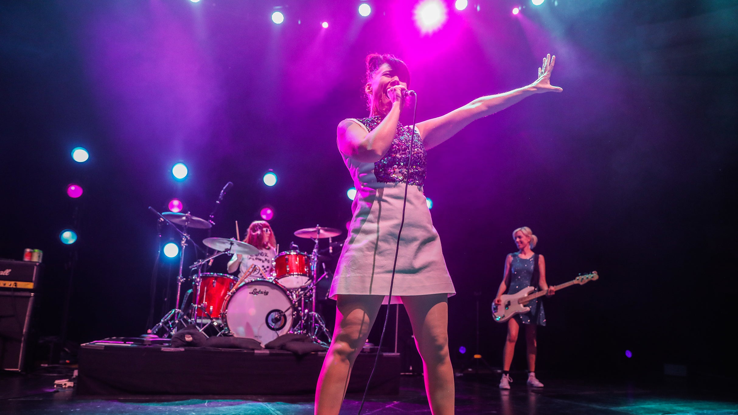 Preview image for Bikini Kill