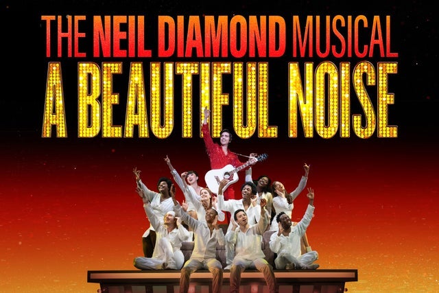 Preview image for A Beautiful Noise