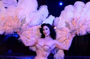 Preview image for House of Burlesque