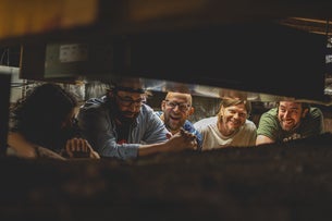 Preview image for Houseplant