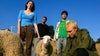 Preview image for BammBamm & KCRW Present: Jawdropped with Fat, Evil Children