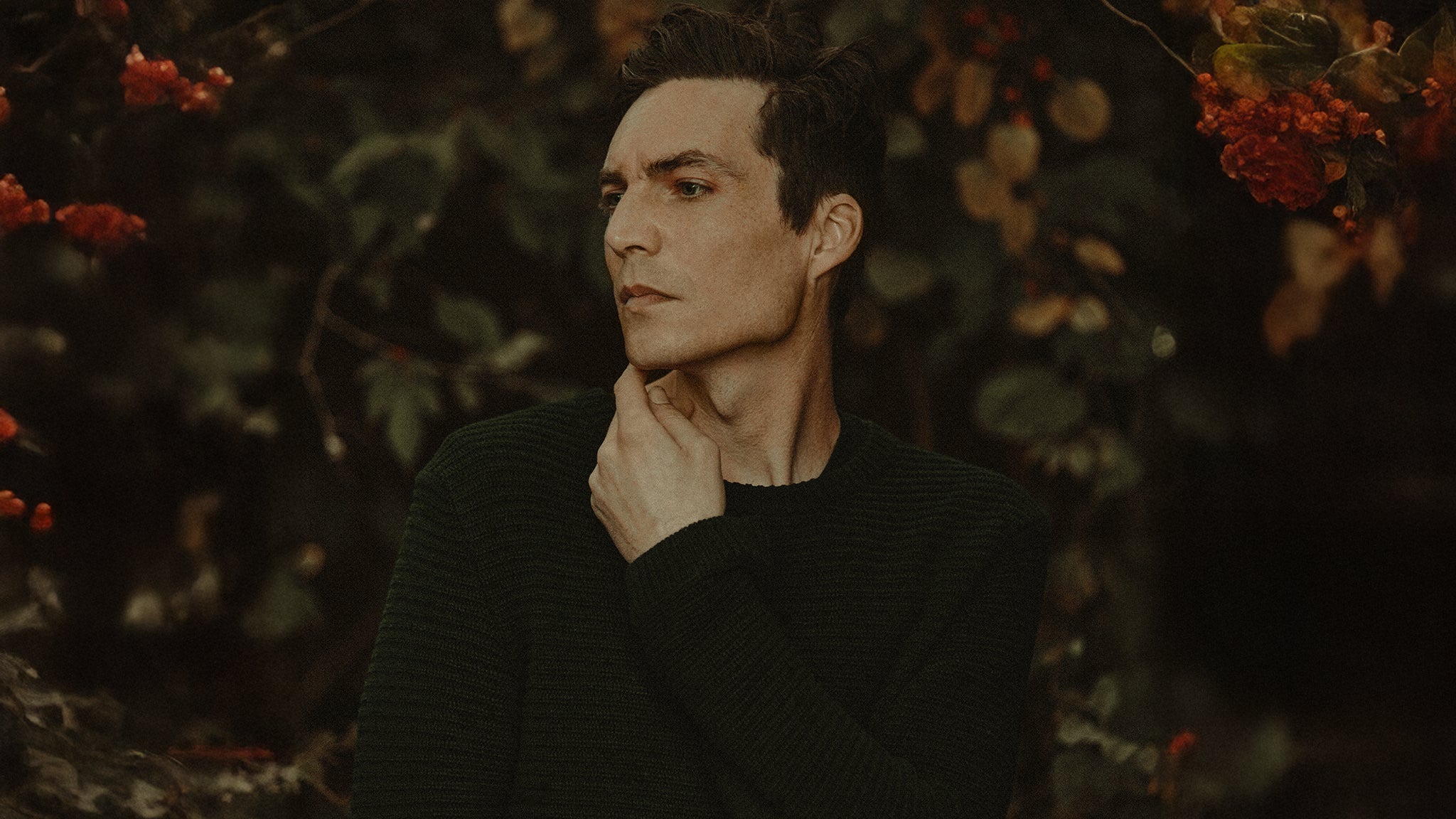 Preview image for Augustana - All The Stars and Boulevards Anniversary Show - Solo