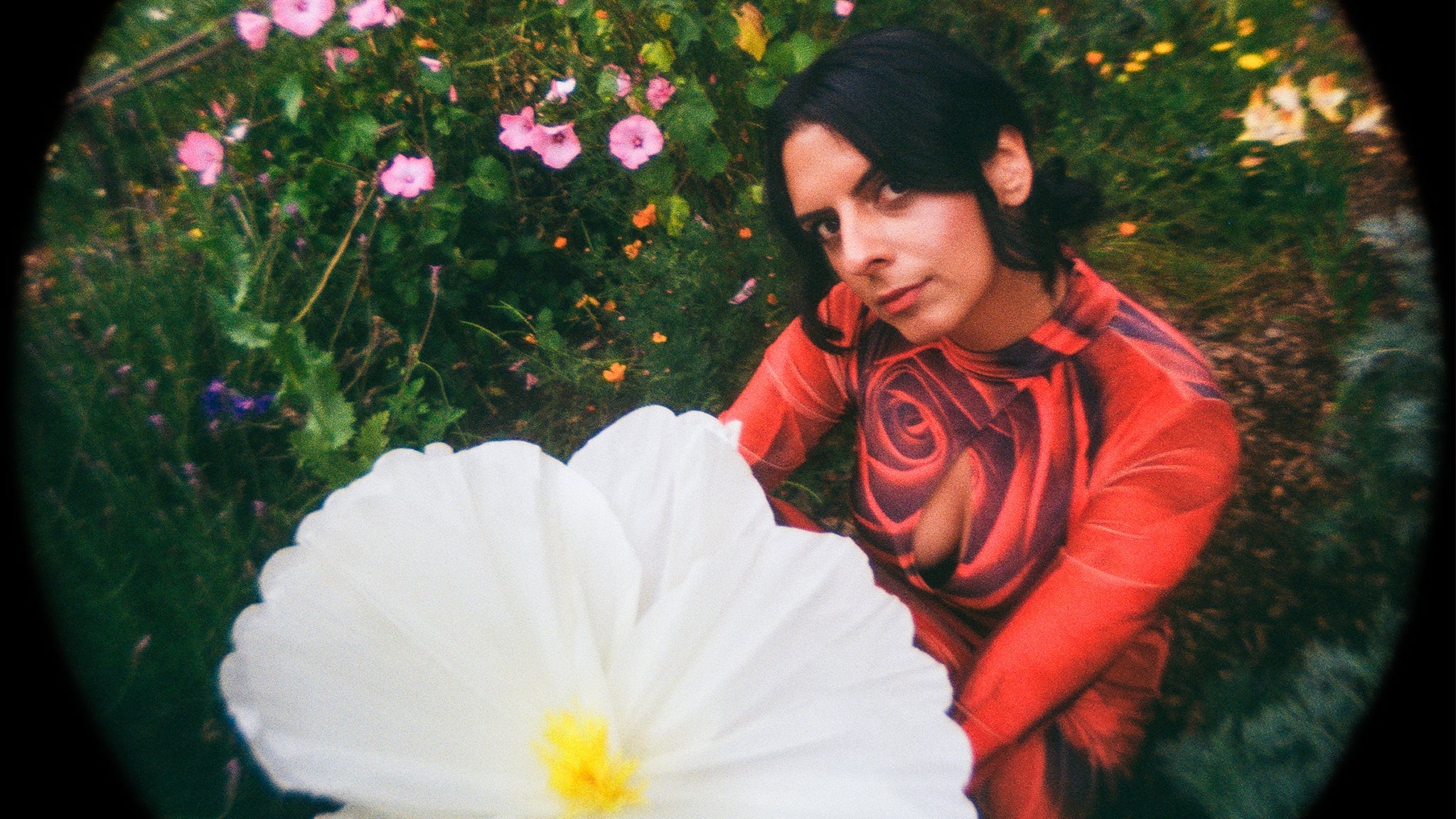 Preview image for KCRW Presents: Spacemoth