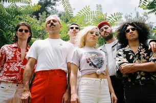 Preview image for Miami Horror