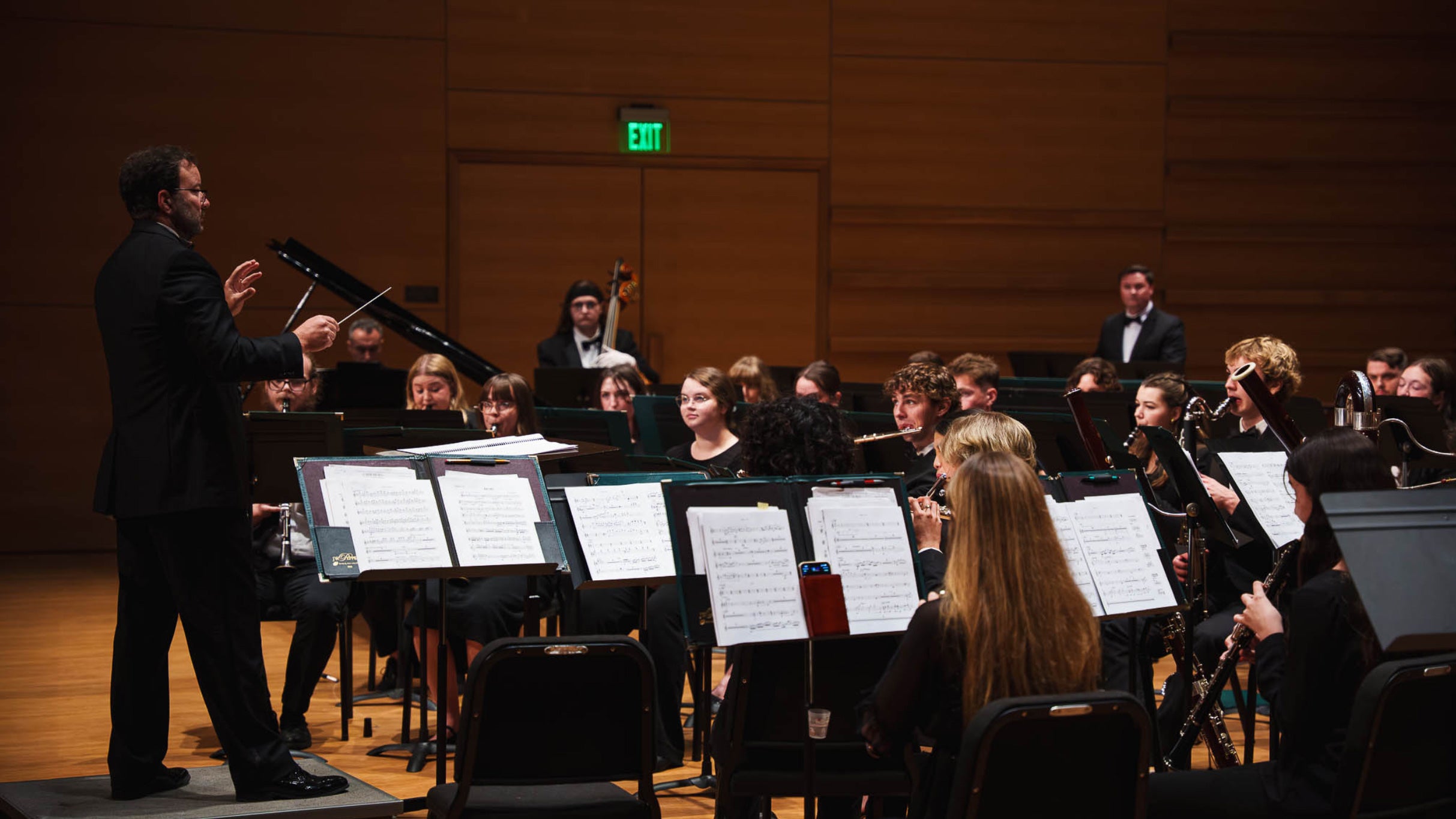 Preview image for USF Wind Ensemble