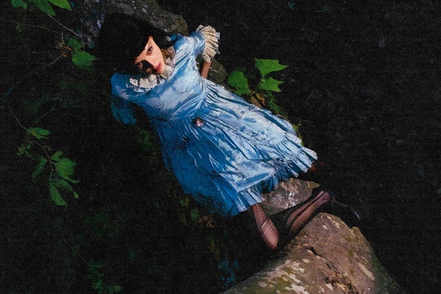 Preview image for Not For Radio - A Summer In The Forest: North America Tour