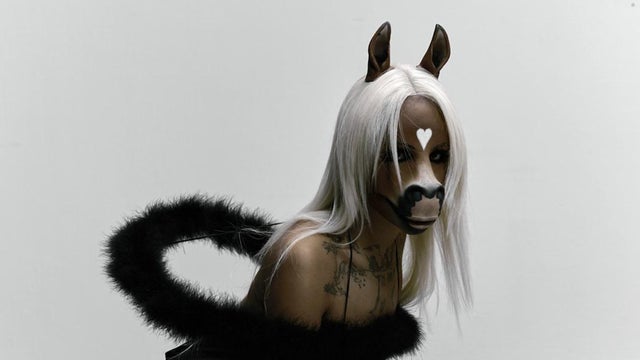 Preview image for horsegiirL - NATURE IS HEALING TOUR