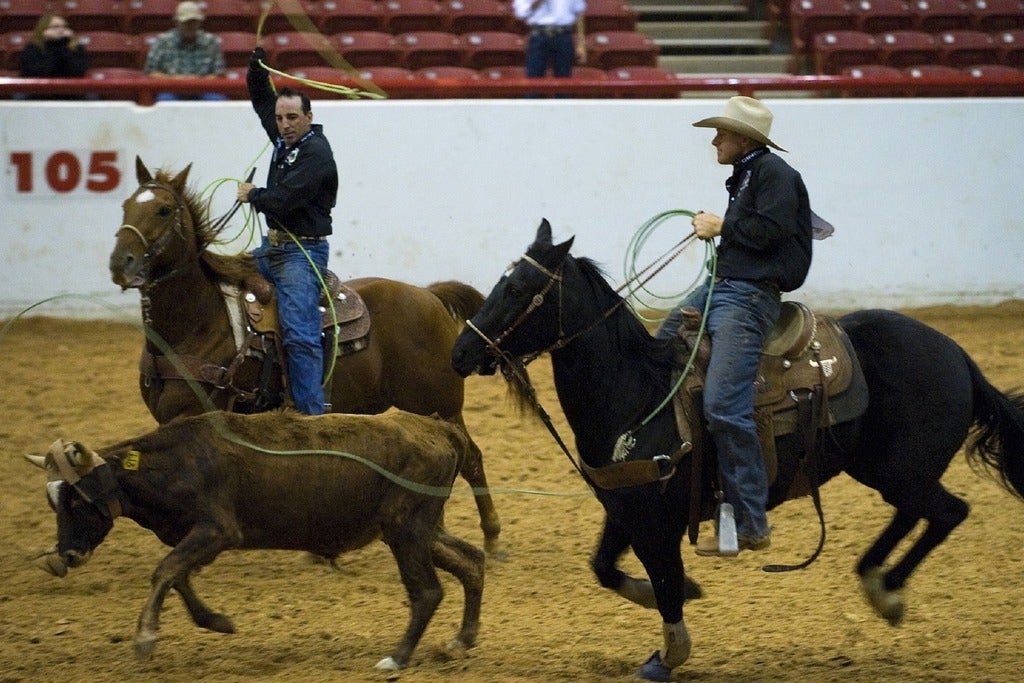 Preview image for Stockyards Championship Rodeo