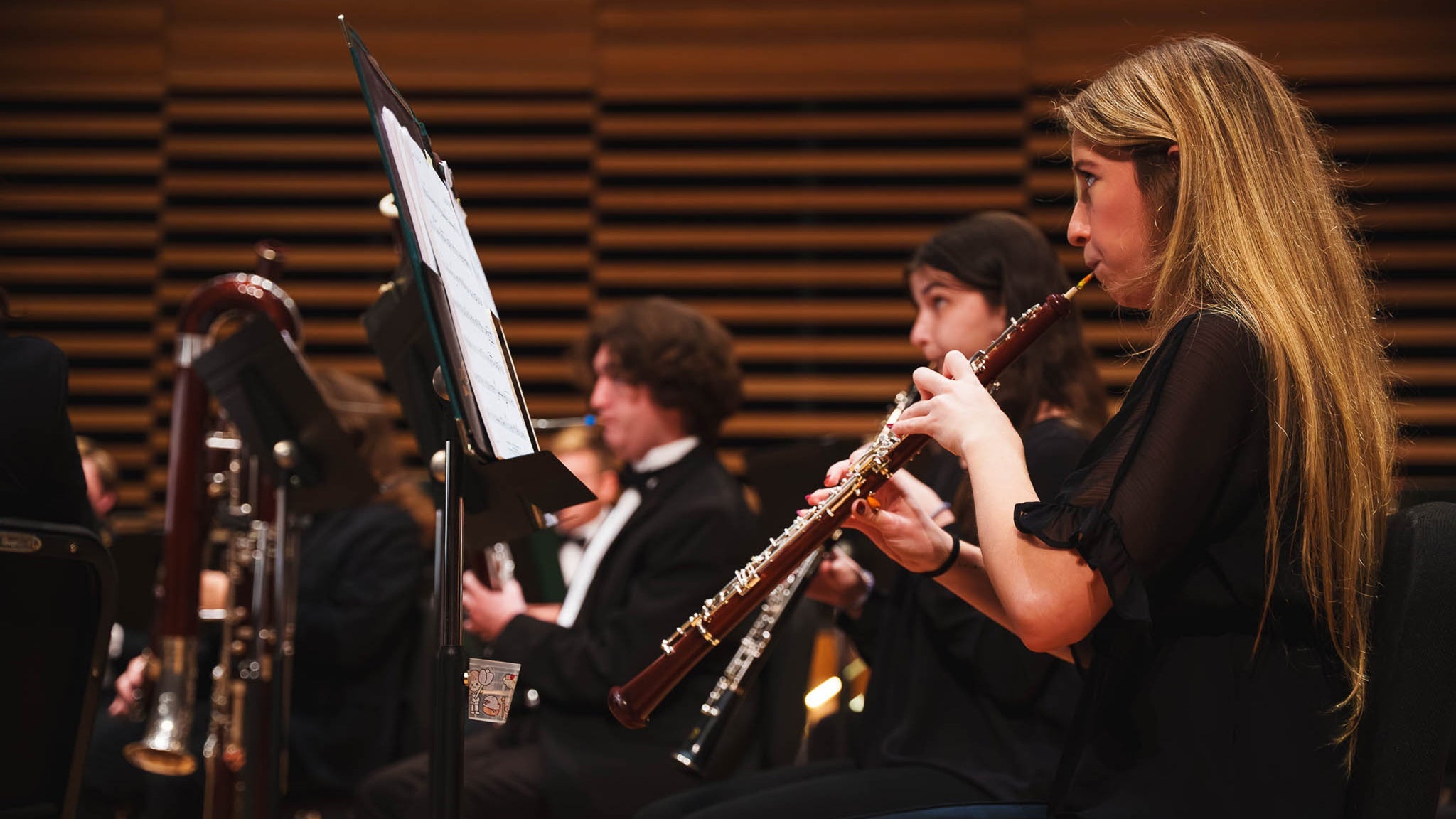 Preview image for USF Concert Band