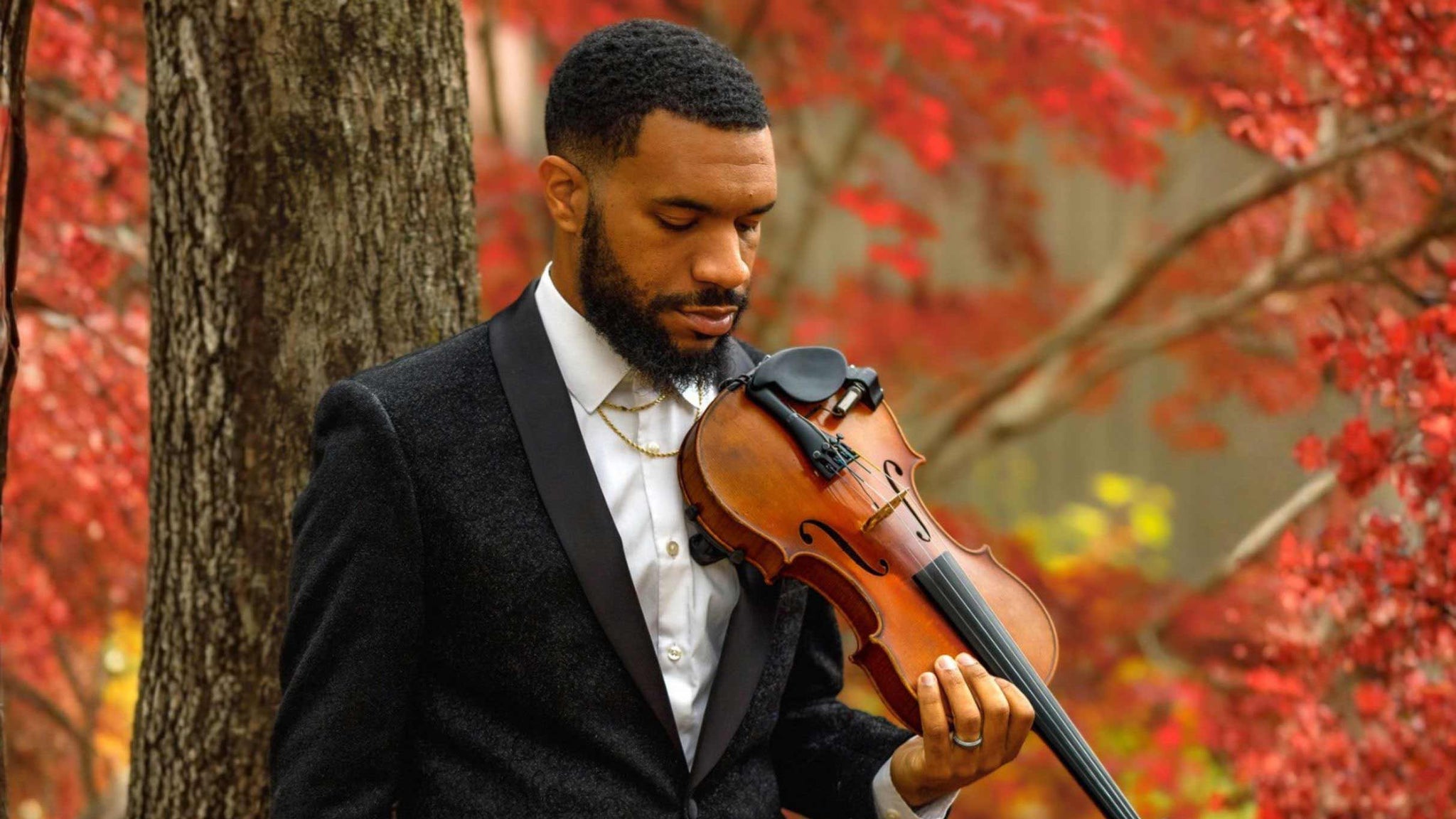 Preview image for John Violinist - Jacksonville, FL