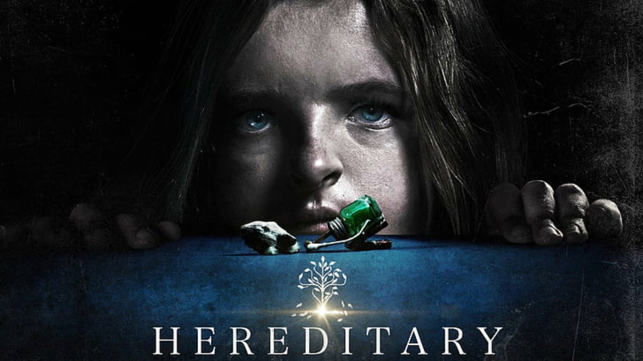 Preview image for Hereditary (2018 film)