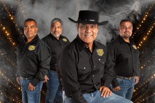 Preview image for Los Palominos