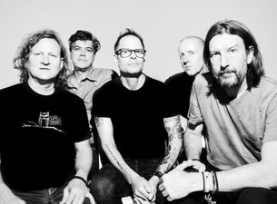 Preview image for Gin Blossoms