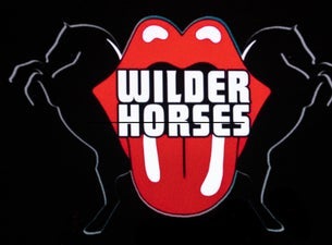 Preview image for Wilder Horses: A Tribute To The Rolling Stones