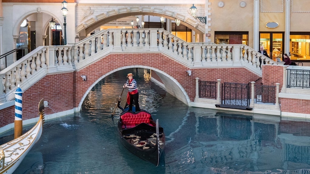 Preview image for The Venetian Resort Gondolas