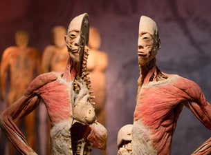 Preview image for Real Bodies