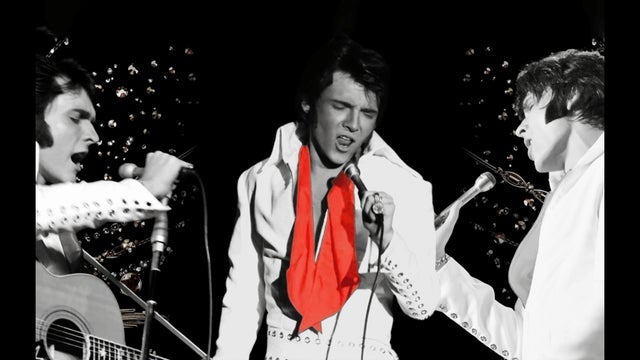 Preview image for ELVIS: In Person - Starring Matt Stone